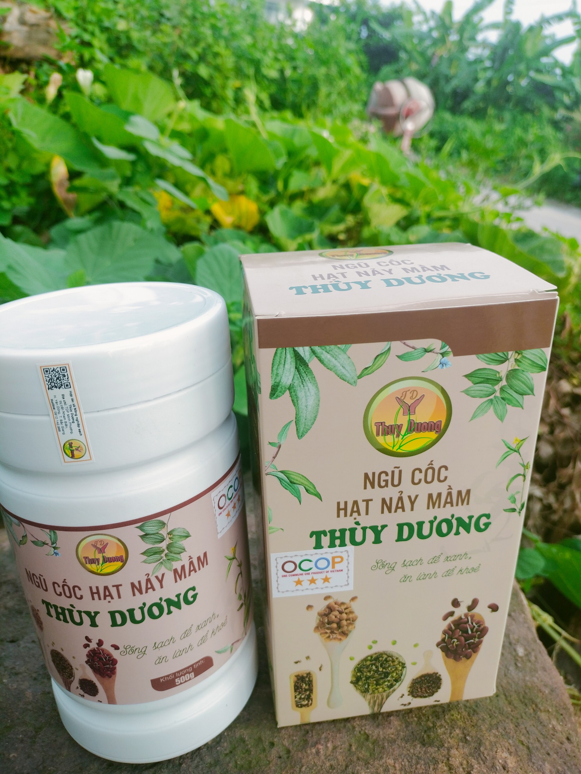 Ngũ Cốc Hạt Nảy Mầm