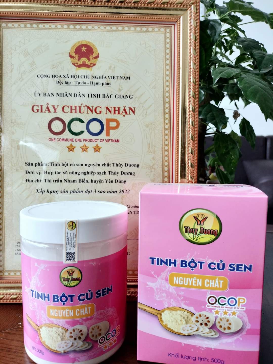 Tinh Bột Củ Sen Thùy Dương