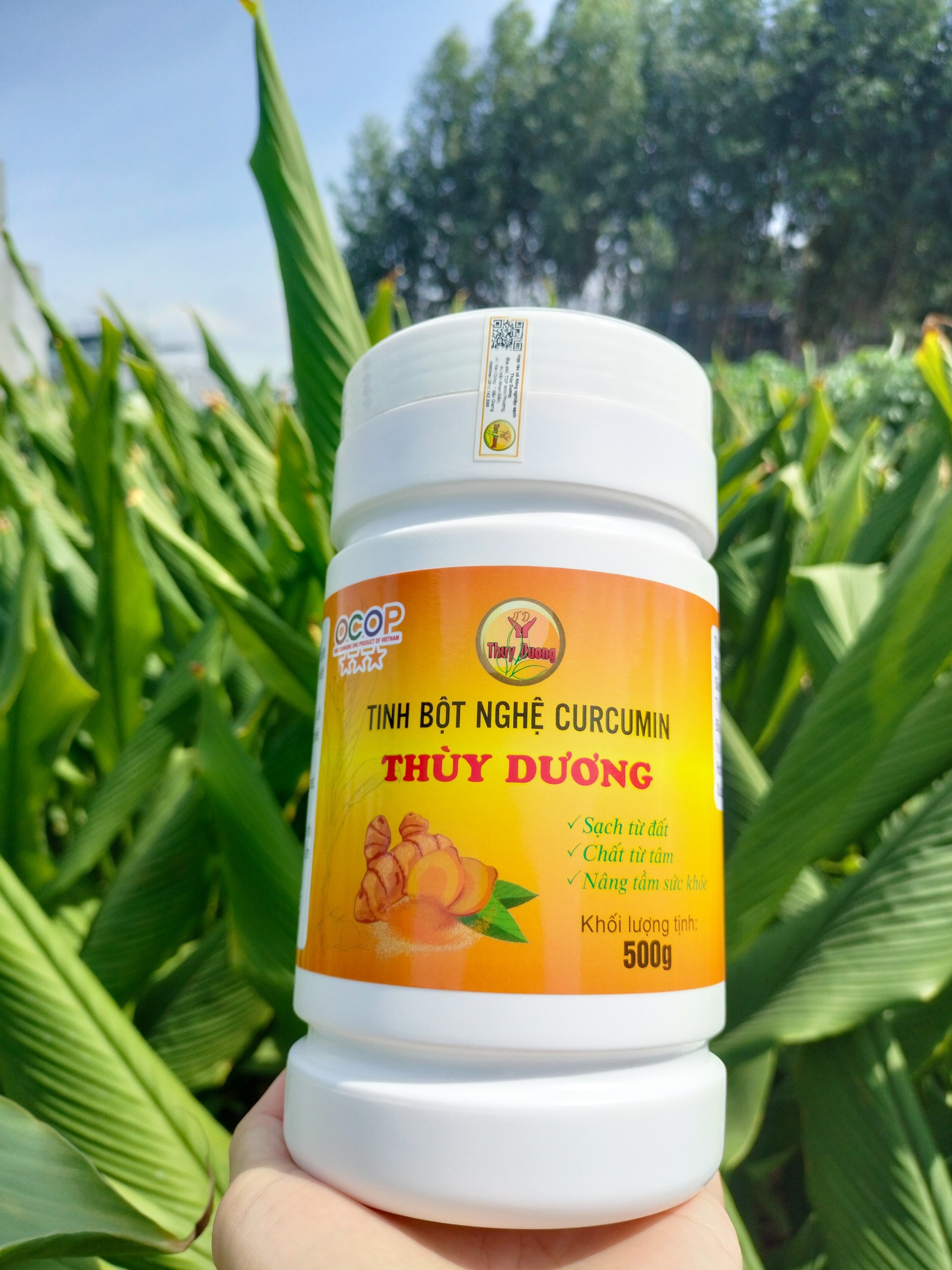 Tinh Bột Nghệ Curcumin Thùy Dương