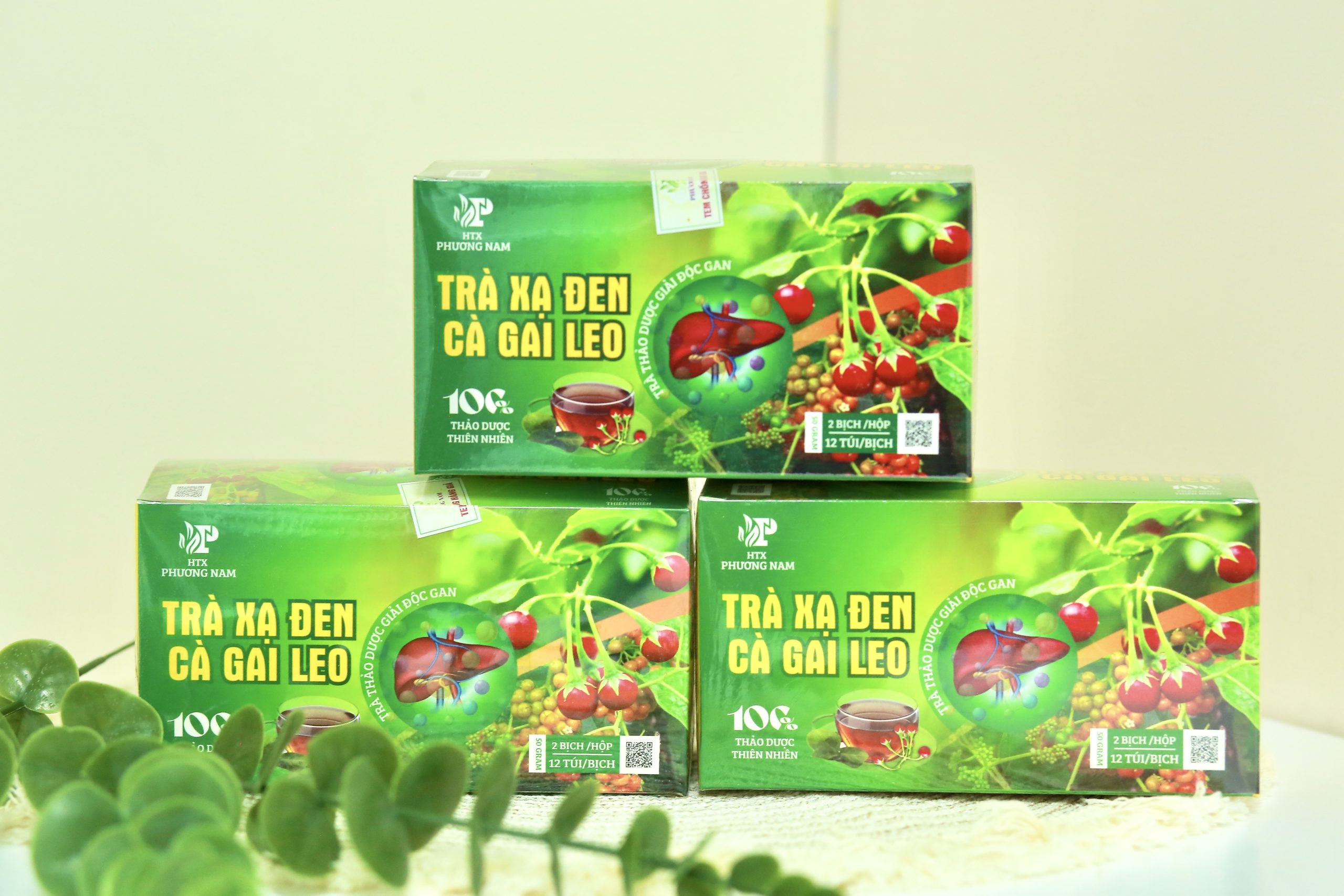 Trà Xạ Đen Cà Gai Leo