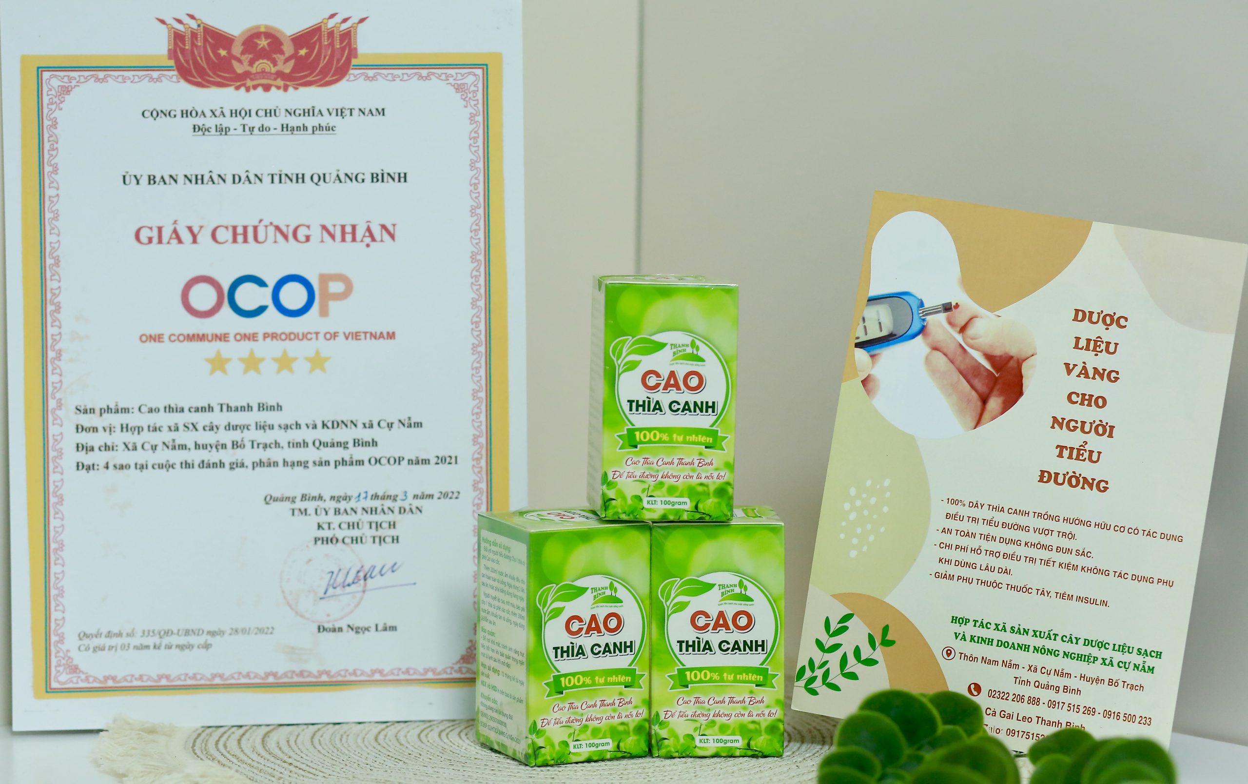 Cao Thìa Canh Thanh Bình