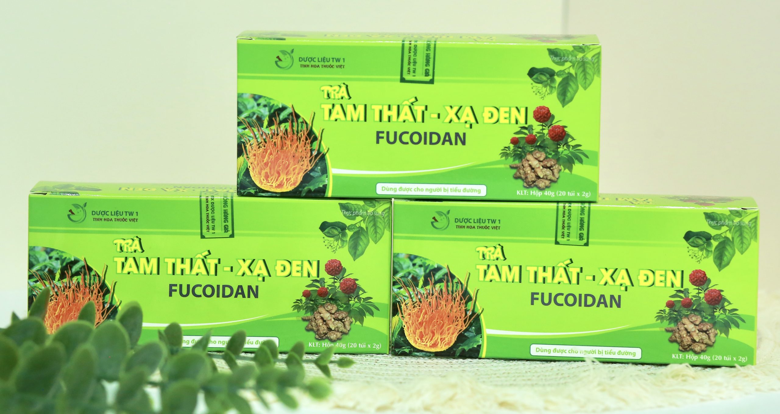 Trà Tam Thất Xạ Đen