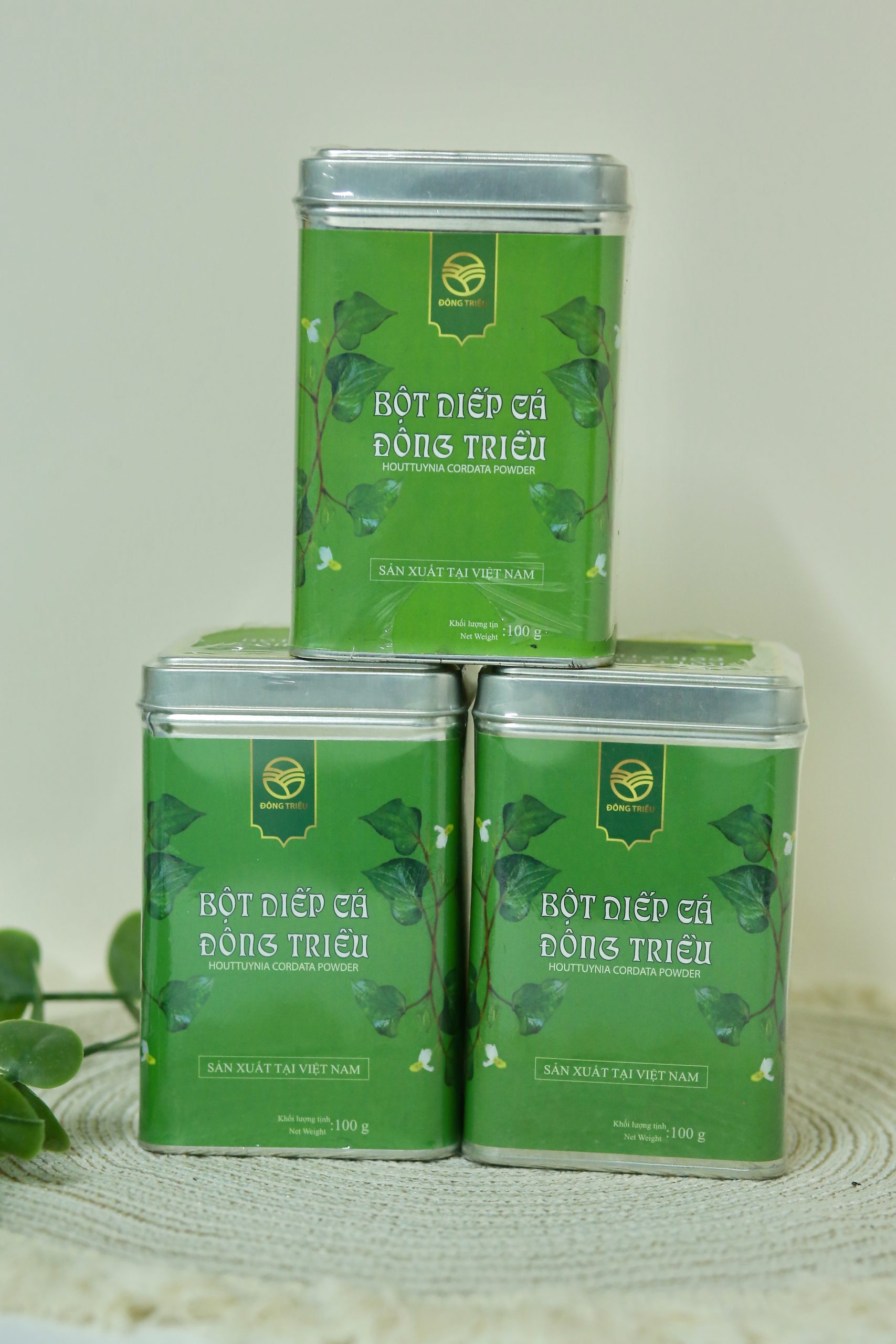 Bột Diếp Cá Đông Triều