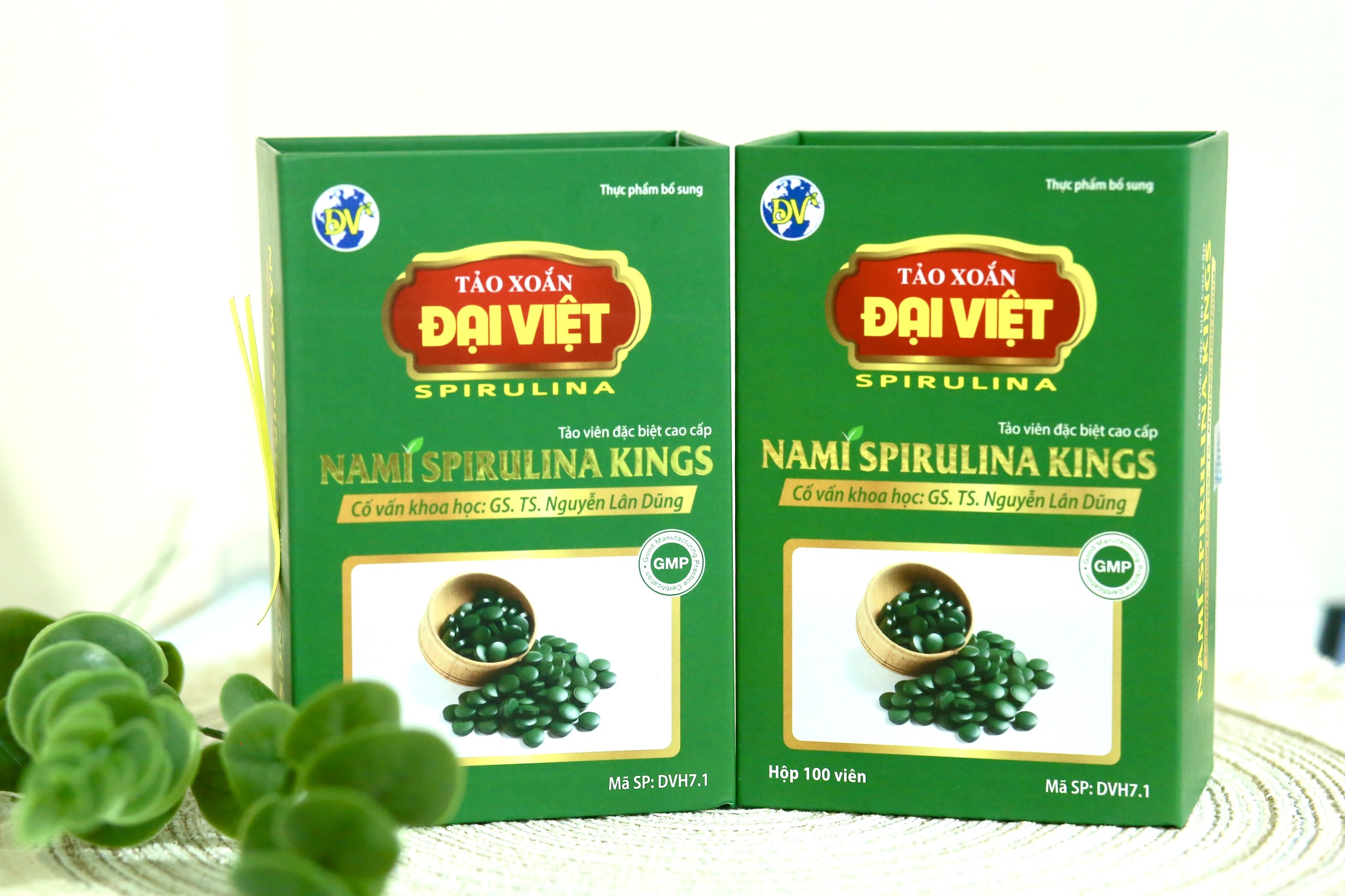 Tảo xoắn Đại Việt